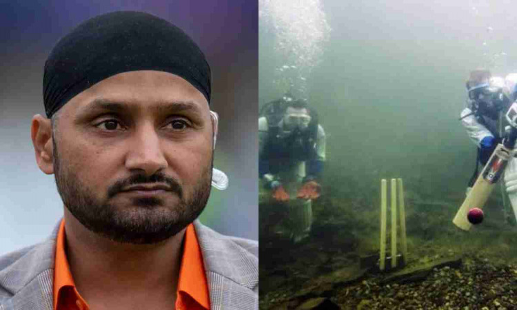 Cricket Image for 'भाई, क्या स्विमिंग पूल में होगा मैच', हरभजन सिंह के ट्वीट पर फैंस ने मचाया बवाल