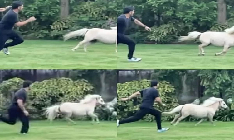Cricket Image for MS Dhoni Races With His Shetland Pony, Watch Video 