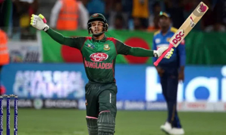 Cricket Image for Mushfiqur Rahim Says I Know Opposition Teams Consider Me A Big Player