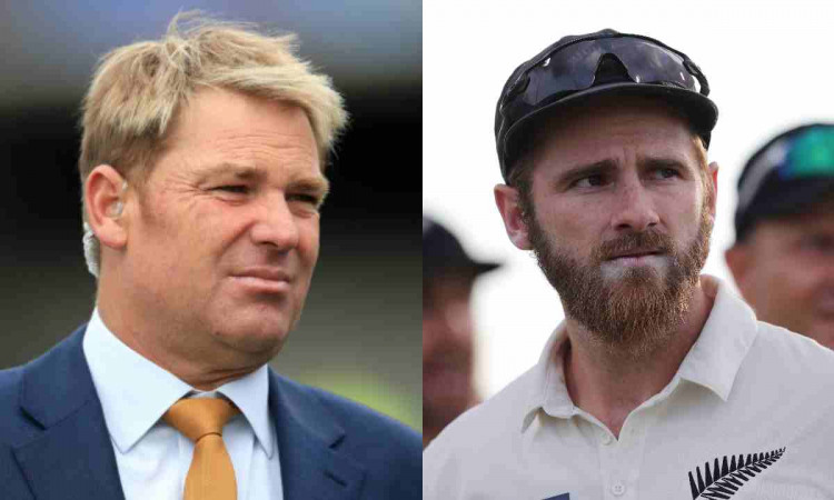 Cricket Image for Shane Warne 'Disappointed' Over New Zealand's Team Selection In WTC Final
