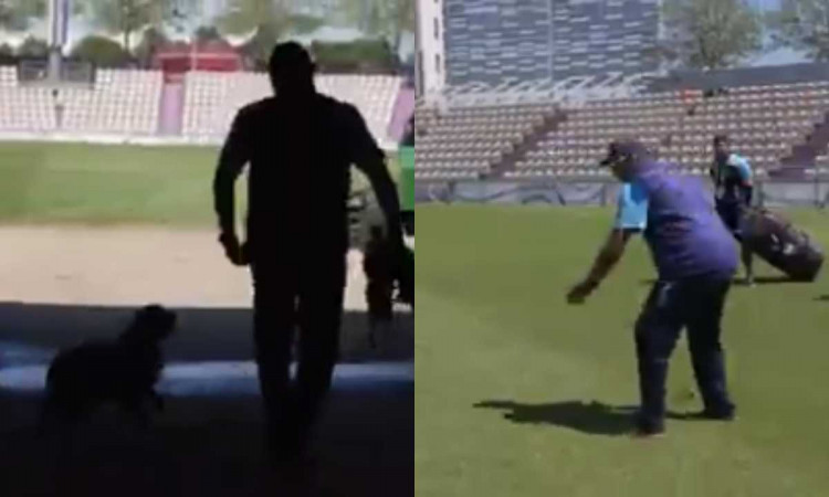 Cricket Image for VIDEO : साउथैम्पटन में शास्त्री ने बनाया नया दोस्त, टीम इंडिया को छोड़ 'डॉगी' को क