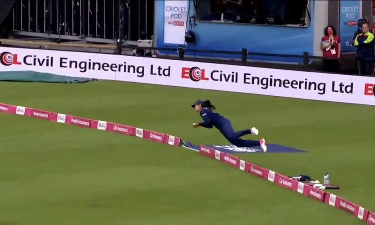 Cricket Image for WATCH: Harleen's Jaw-Dropping Catch Dwarfs India's Loss