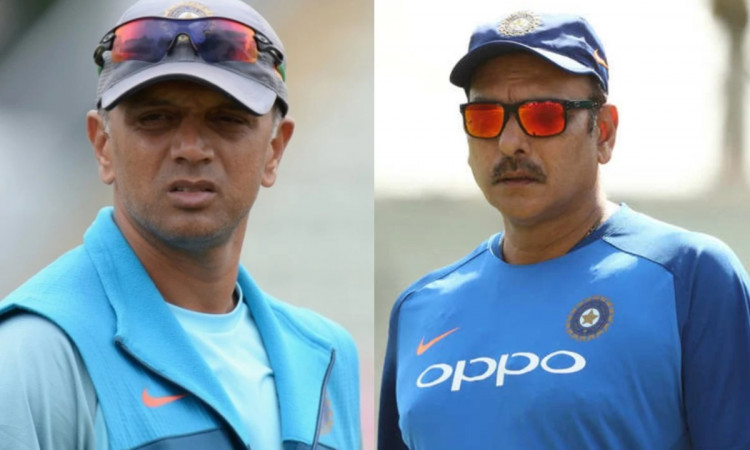 Cricket Image for Reetinder Sodhi Says Rahul Dravid In Line To Replace Ravi Shastri 