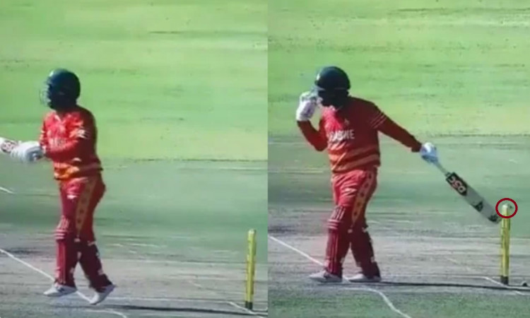 Cricket Image for Zimbabwe Vs Bangladesh Brendan Taylor Gets Out In A Shocking Manner Watch Video