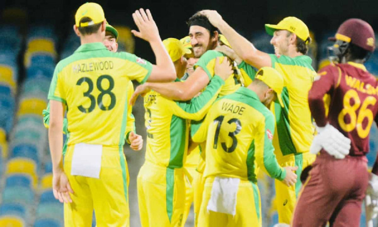 Cricket Image for WI vs AUS: ऑस्ट्रेलिया ने पहले वनडे में वेस्टइंडीज को हराया,  मिचेल स्टार्क रहे जी