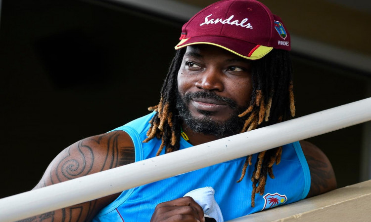 Cricket Image for At The Age Of 42, Chris Gayle Is Here To Stay 