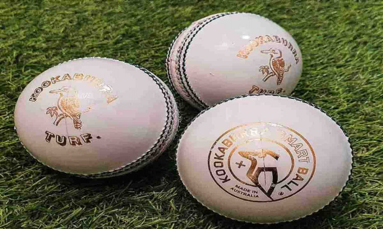 Cricket Image for Smart Ball To Be Used In Next Month'S Caribbean Premier League