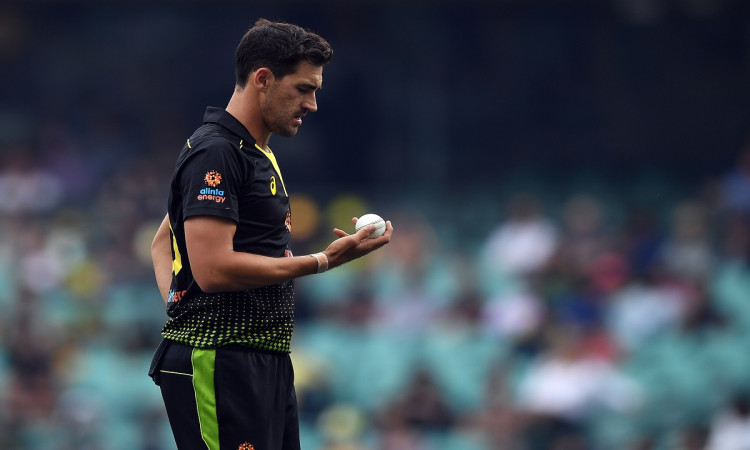 Cricket Image for Starc Aims To Get Back His Rhythm In Upcoming Series With Focus On T20 World Cup
