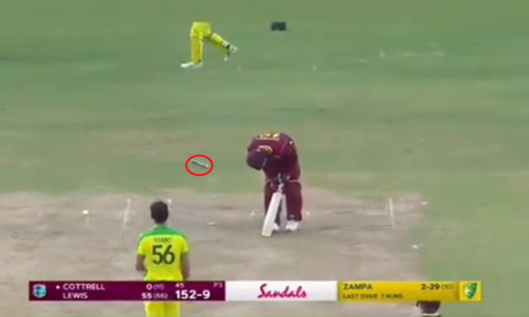 Cricket Image for Mitchell Starc Bowled Sheldon Cottrell With A Beautiful Delivery Watch Video