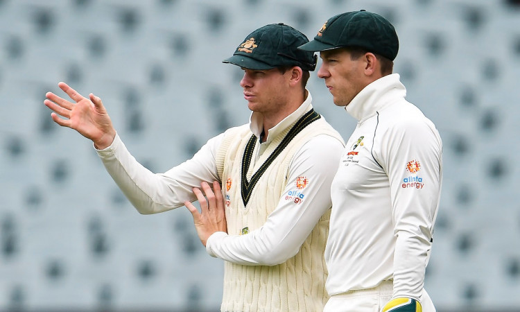 Cricket Image for Tim Paine Urges Steve Smith Not To Rush Injury Return