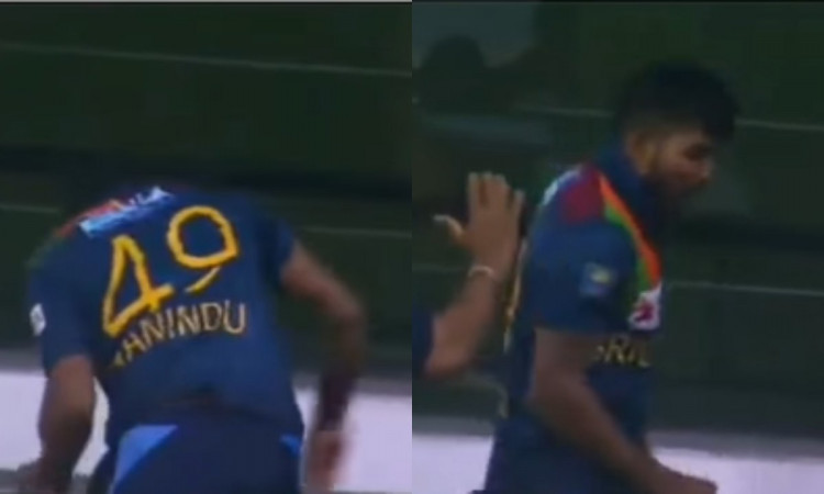 Cricket Image for VIDEO : हसरंगा ने ज़मीन पर पटकी पानी की बोतल, जोशीले अंदाज़ में मनाया जीत का जश्न