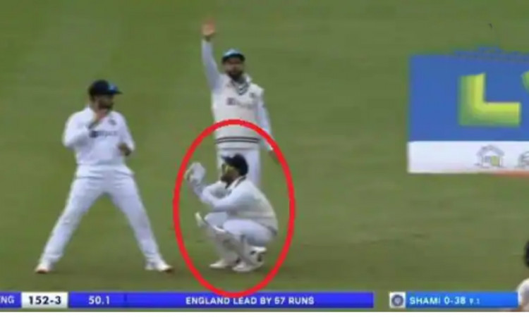 Cricket Image for VIDEO: ऋषभ पंत को 'मेंढक' की तरह उछलता देख, हैरान हुए रोहित और विराट कोहली