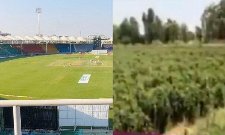 VIDEO -  Stadium of Pakistan turns into vegetable field