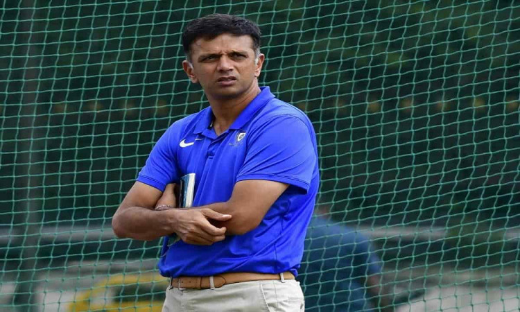 Cricket Image for BCCI Invites Applications For Top NCA Post Occupied By Rahul Dravid