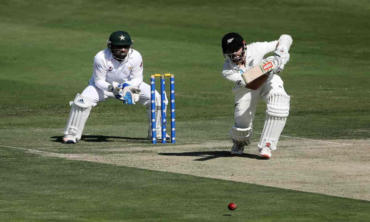 Cricket Image for Cricketers Better Than Others At Handling Rifts 