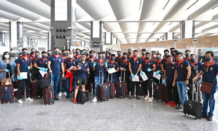 Cricket Image for IPL 2021: Royal Challengers Bangalore Contingent Boards Flight To Dubai 