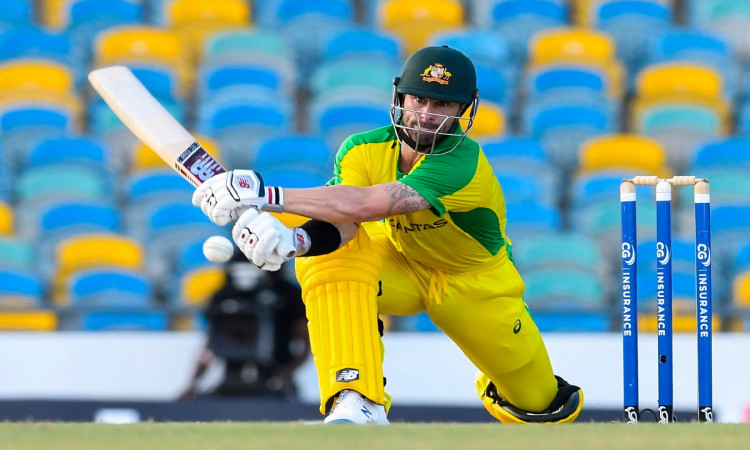 Cricket Image for Mathew Wade To Captain Australia For The Bangladesh T20Is