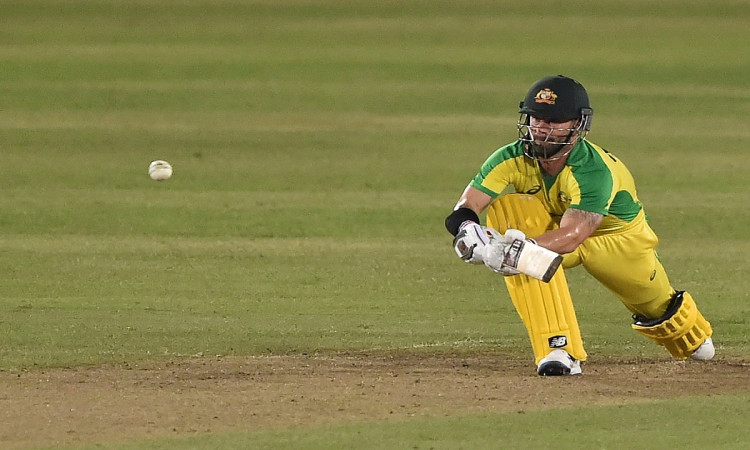 Cricket Image for Wade Demands Bravery After Australia's First T20 Loss To Bangladesh