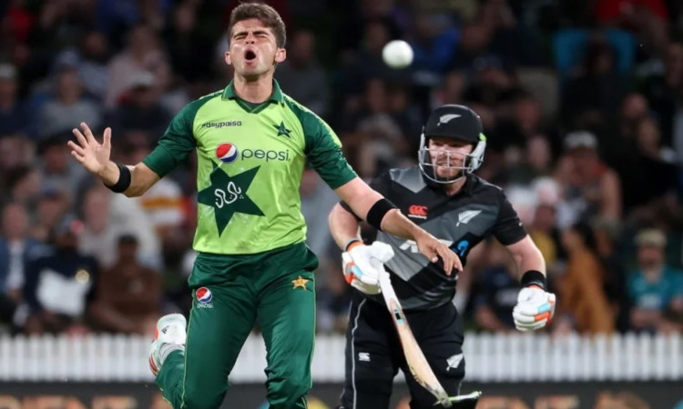 PAK vs NZ: Four uncapped players in Pakistan squad for New Zealand ODI series