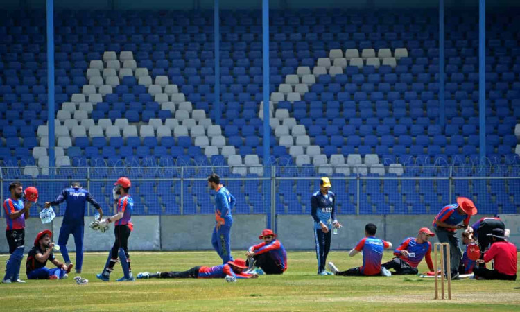 Afghan Cricket Board Begs To Keep Game 'Out Of Politics'