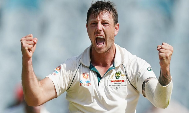 Cricket Image for Ashes Will Be My Last Crack At Playing Test Cricket: James Pattinson