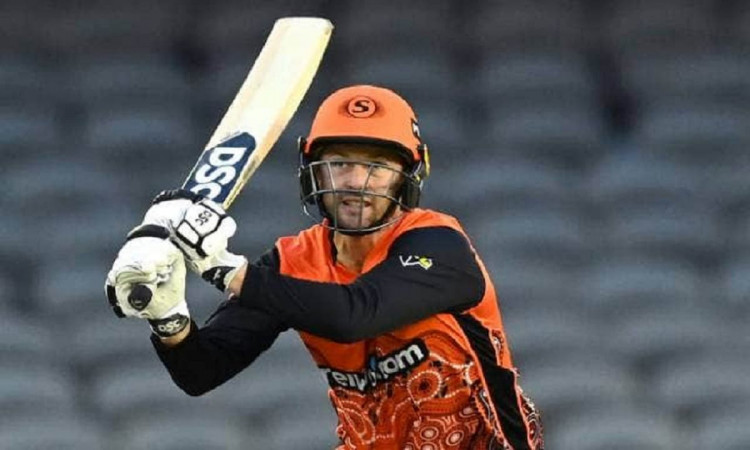 Cricket Image for New Zealand Opener Colin Munro Rejoins Perth Scorchers In Big Bash League