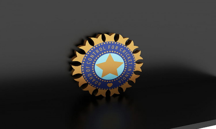 Cricket Image for Former Tamil Nadu Batter Sridharan Sarath Named Chairman Of BCCI Junior Committee