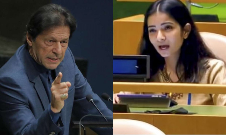 Cricket Image for Sneha Dubey Strong Answer To Former Pakistan Cricketer And Current Pm Imran Khan