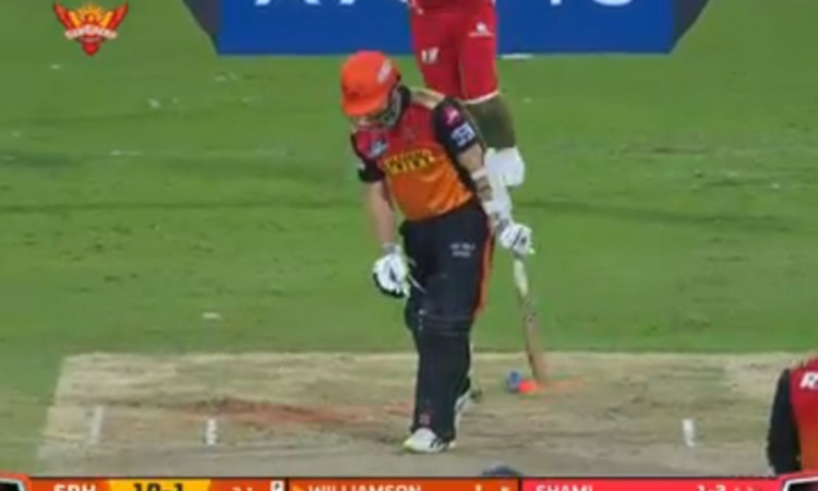 Cricket Image for VIDEO : शमी की रफ्तार ने उखाड़ी विलियमसन की स्टंप्स, पहले तीन ओवरों में ही हार गई 