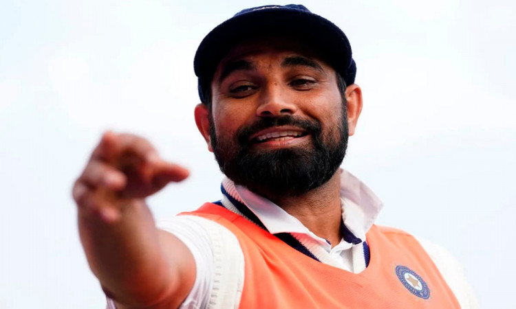 Cricket Image for Mohammed Shami Brutally Trolls Rishabh Pant, Calls Him 'Overweight'