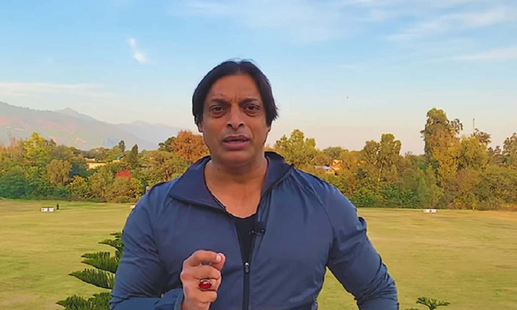 New Zealand just killed Pakistan cricket: Shoaib Akhtar