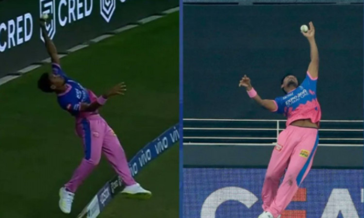 Cricket Image for VIDEO : मैच हारकर भी दिल जीत गए 'Fizz', सुपरहीरो की तरह छलांग मारकर बचाए थे 5 रन