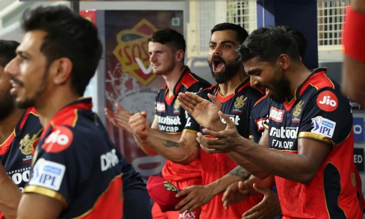 Cricket Image for  IPL 2021: इन खिलाड़ियों के शानदार प्रदर्शन से मिली आरसीबी को जीत में मदद, कप्तान 