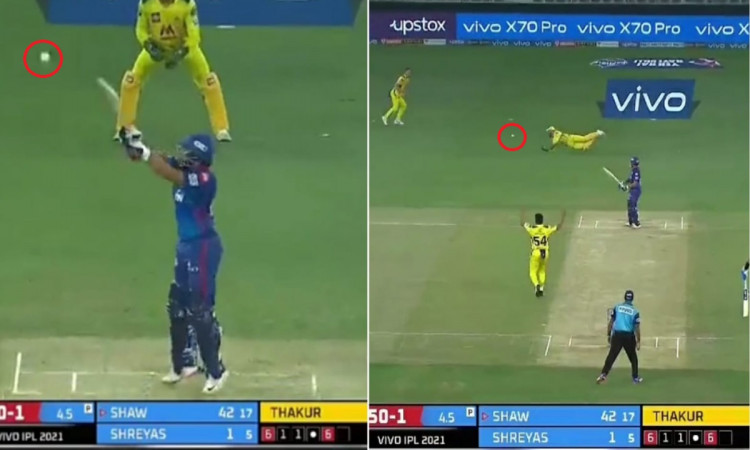 Cricket Image for Dc Vs Csk Shardul Thakur Outsmarts Prithvi Shaw But Ms Dhoni Drops The Catch Watch