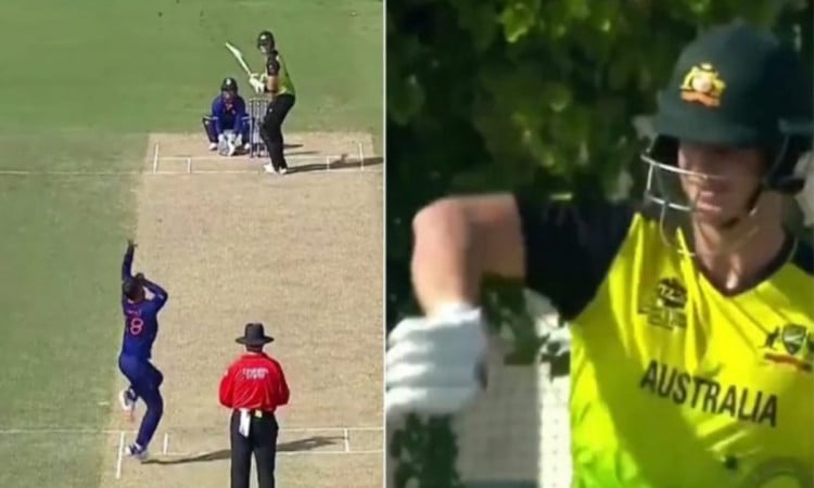 Cricket Image for India Vs Australia Steve Smith Laughs And Mocks Virat Kohli Action Watch Video