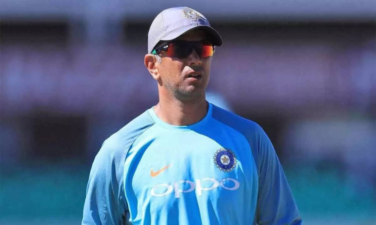 Rahul Dravid politely refuses BCCI’s offer for India coach, Reports