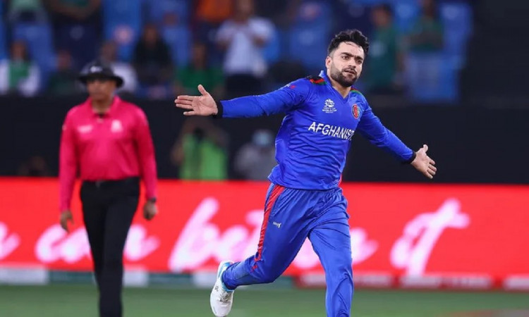  Rashid Khan apologises to fans after defeat to Pakistan