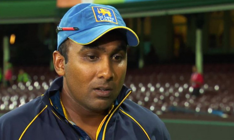 Cricket Image for Sri Lanka Consultant For The T20 World Cup Mahela Jayawardene Leaves Sri Lanka Tea