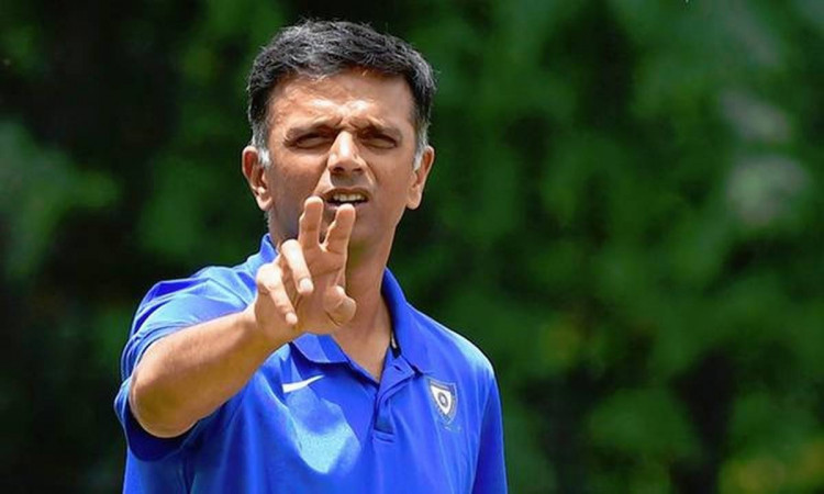Cricket Image for BCCI Are Looking To Make Dravid 'Head Coach', Sources Say That Dravid Has Agreed B