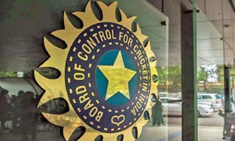 Cricket Image for BCCI Invites Job Applications For Team India Coaches' Jobs
