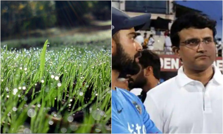 Cricket Image for 'ओस' ना तोड़ दे करोड़ों फैंस के सपने, बीसीसीआई को याद आ रही है 7 साल पुरानी 'मैजिक