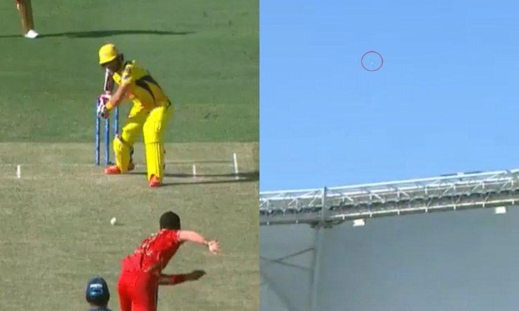 Cricket Image for VIDEO :  डु प्लेसिस ने जड़ा विशालकाय गगनचुंबी छक्का, 100 मीटर दूर जाकर गिरी गेंद