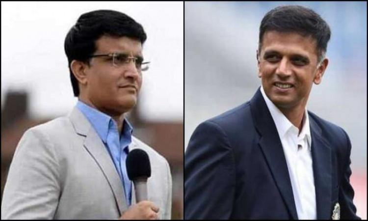 Ganguly gives update on Rahul Dravid's chances of becoming India head coach after Shastri