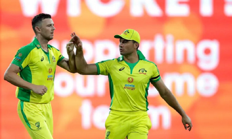 Cricket Image for Josh Hazlewood Gives A Major Update On Marcus Stoinis' Injury 