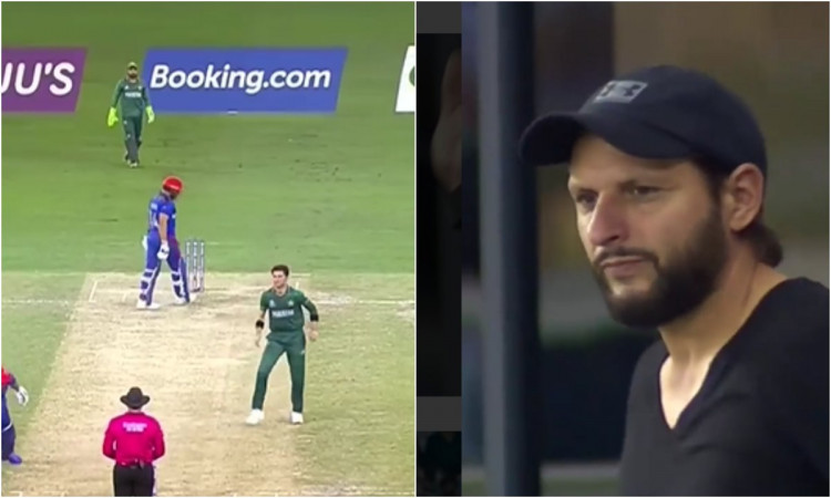 Cricket Image for दामाद को बॉलिंग करता हुआ देखने के लिए पहुंचे शाहिद अफरीदी, देखें VIDEO