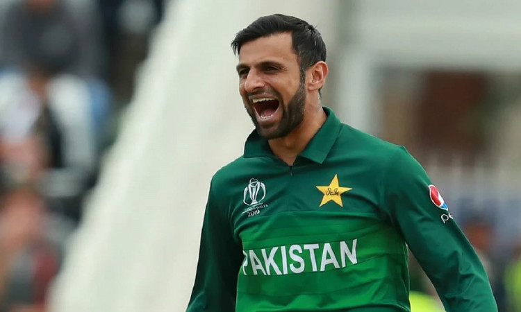 T20 WC: Shoaib Maqsood Injured, Experienced Shoaib Malik Included In The Pakistan Squad