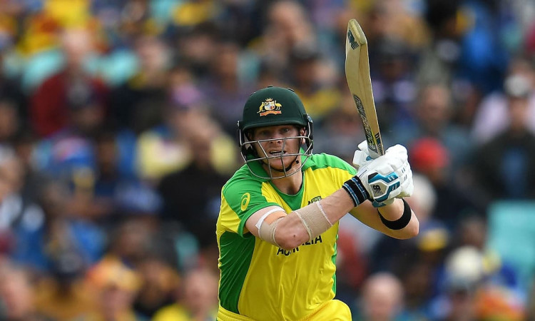 Cricket Image for T20 World Cup: Australia Beat New Zealand By 3 Wickets In Last Over Thriller