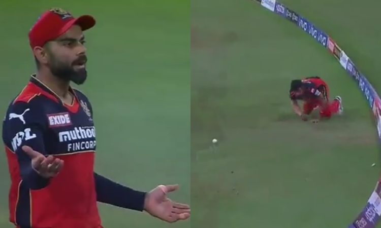 Cricket Image for Rcb Vs Srh Virat Kohli Angry After Mohammed Siraj Dropped Catch Watch Video