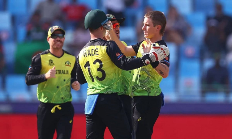 T20 World Cup 2021: Australia Beat Bangladesh By 8 Wickets