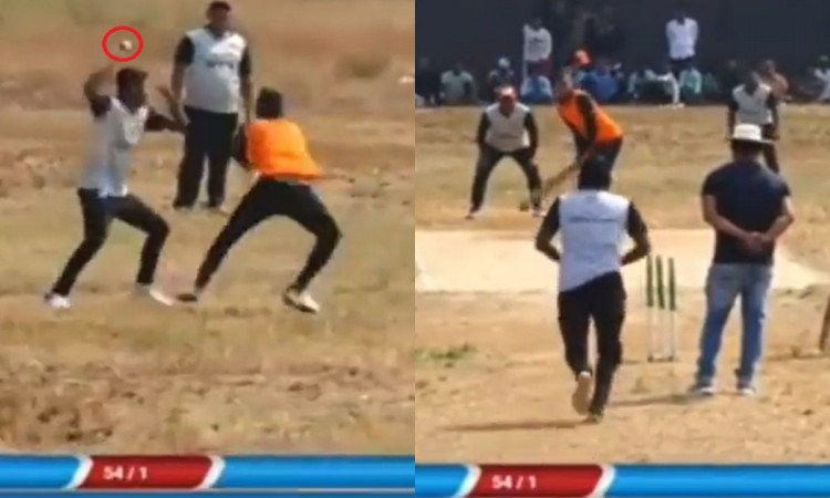 Cricket Image for Batter Tries To Emulate David Warner Shot Gets Run Out Watch Video